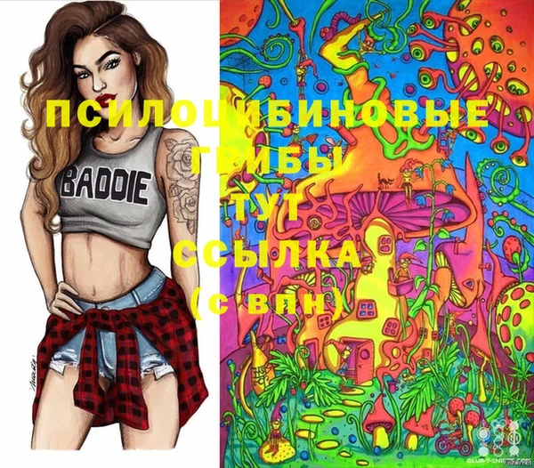 прущая мука Армянск